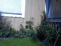 2026-08-25.jpg