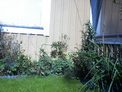 2026-08-26.jpg