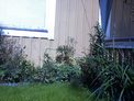 2026-08-27.jpg