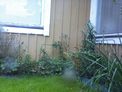 2026-08-28.jpg