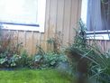 2026-08-30.jpg