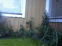 2026-09-10.jpg