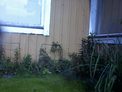 2026-09-28.jpg