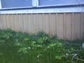 2025-04-10.jpg