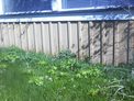 2025-04-11.jpg