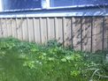 2025-04-12.jpg