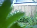 2025-06-27.jpg
