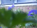 2025-07-12.jpg
