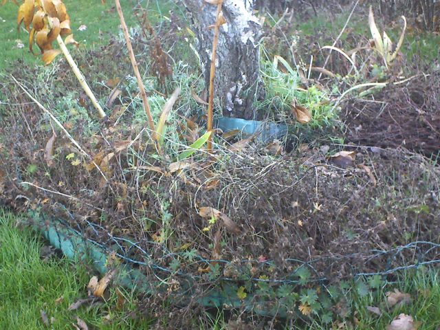 CPGP Garden Cam : Historik