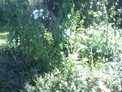 2025-07-26.jpg