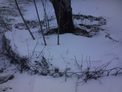 2026-01-12.jpg