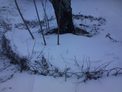 2026-01-13.jpg