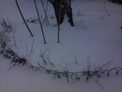 2026-02-10.jpg